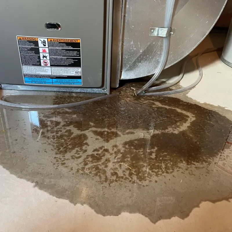 Appliance Leak Cleanup in University, MS