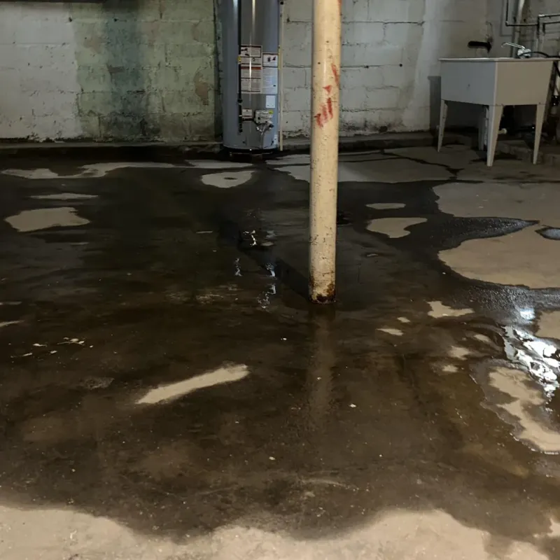 Emergency Water Extraction And Removal in University, MS